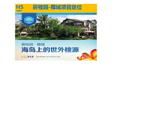 房地產營銷策劃 引領樓盤成功銷售的專業之道