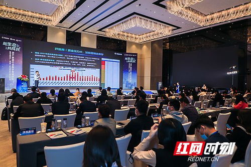 房產湖南站正式啟航，深耕代理服務助力湖湘地產新篇